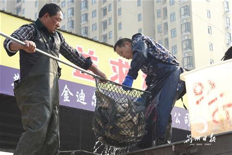 淡水鱼涨价了吗？带你到南京众彩水产市场一探究竟 - 价格行情 - 鄱阳湖水产网-江西特种水产养殖网