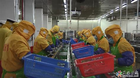 湖南首次！益阳2.4吨牛蛙制品出口香港 - 益阳对外宣传官方网站