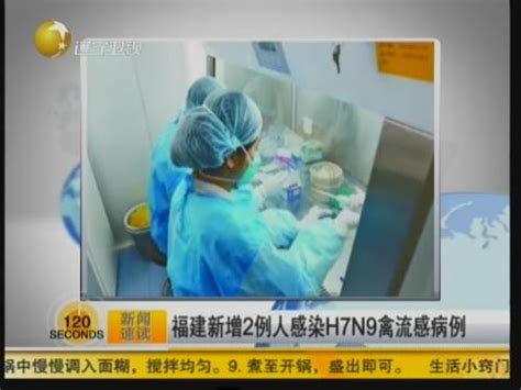 福建新增2例人感染H7N9禽流感病例_ 视频中国