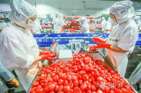 中国企业看好对俄果蔬出口市场的发展前景 - 2016年10月14日, 俄罗斯卫星通讯社