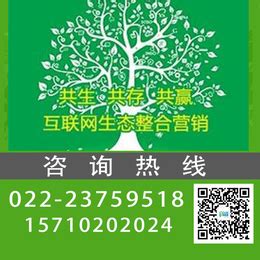 无极b2b网站推广排名「河北启智源泉信息技术供应」 - 宝发网
