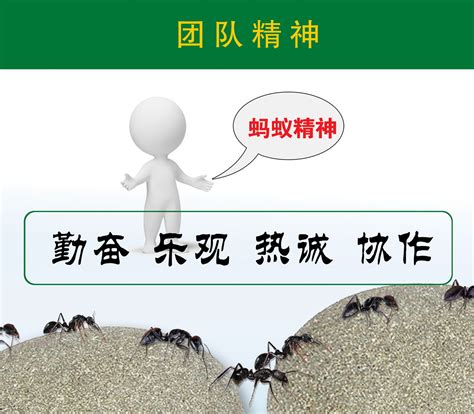 团结的小蚂蚁,品质(第4页)_大山谷图库