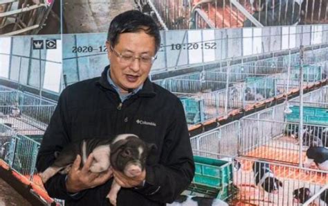 首批引进800头核心种猪，正大康地助力梅州打造生猪产业链！ - 猪好多网