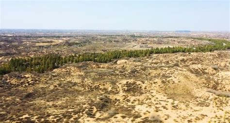 四大沙地之一,历经70年的治理,如今已变成塞上森林|沙地|毛乌素沙漠|榆林_新浪新闻