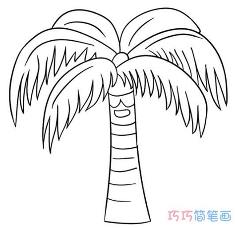 一步一步绘画椰子树的画法带步骤图简笔画教程 - 巧巧简笔画
