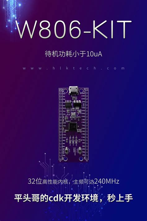 联盛德W806 MCU芯片 支持平头哥CDK开发环境带紫色开发板_内置