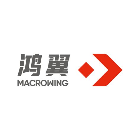 上海鸿翼软件技术股份有限公司 - 爱企查