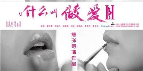 新媒体电影《什么叫做爱2》北京首映_手机新浪网