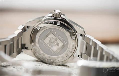 雪铁纳海龟多少钱·2023最新整理