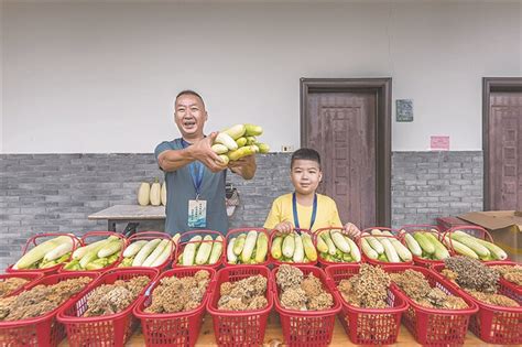 龙南乡种植出来的蔬菜深受外地客商和游客的喜爱-龙泉新闻网
