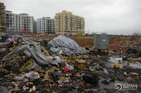 瑞安仙降金光村污染调查：飞云江畔堆积大量垃圾-环保频道-浙江在线