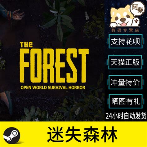 迷失森林The Forest中文电脑版下载 1.12 含攻略-新云软件园