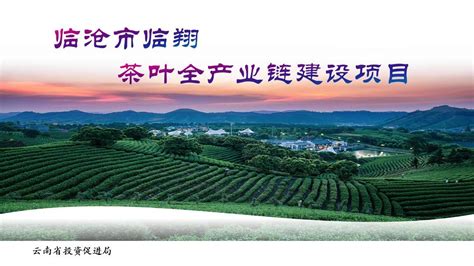 临沧市临翔茶叶全产业链建设项目 --政务信息@云南投资促进网