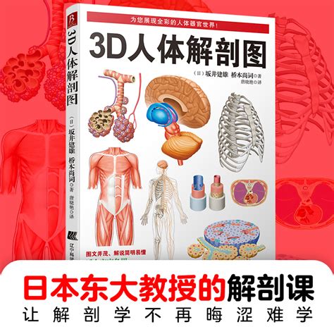 人体解剖彩色图谱图片 人体解剖彩色图谱图片