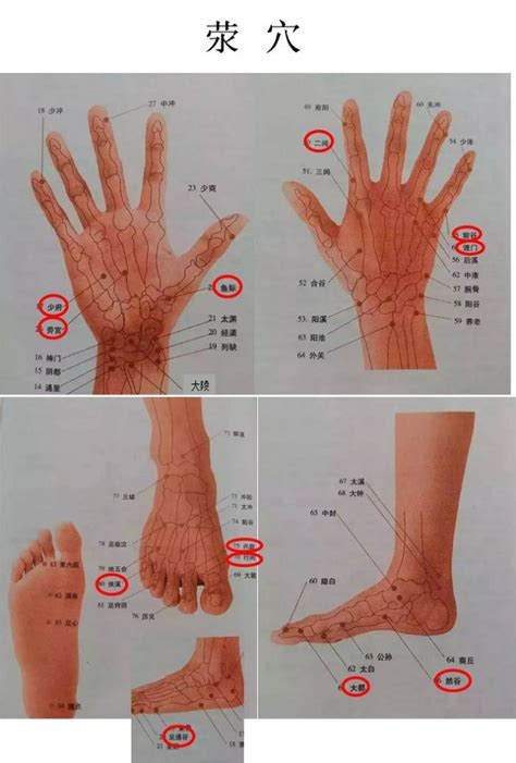 心经的准确位置图图片 心经的准确位置图图片