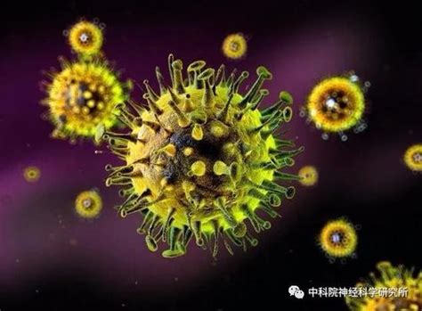 病毒细菌背景图片素材-正版创意图片500851570-摄图网