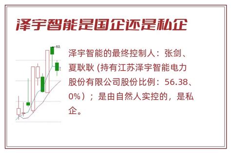 泽宇智能是国企还是私企_聚财百科