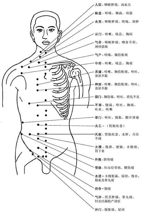 背面观（上半身）-北京大学体育健康中心