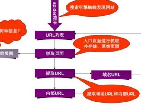 网站seo免费培训教程4 域名先要设置唯一首选域-李俊采自媒体博客