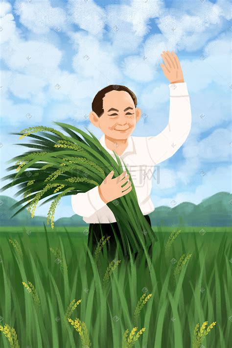 杂交水稻怎么培育出来的 —【发财农业网】