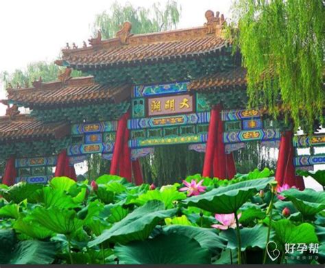 儿童友好中国实践（13）十大儿童友好城市LOGO设计案例精选 - 知乎