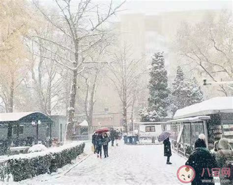 冬季窗外雪景图片素材_免费下载_psd图片格式_VRF高清图片400088083_摄图网
