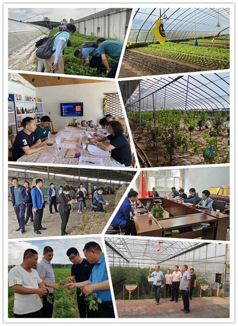 湖南省基层农技人员2020级学历提升（专升本）班开学典礼在我校举行-湖南农业大学继续教育学院