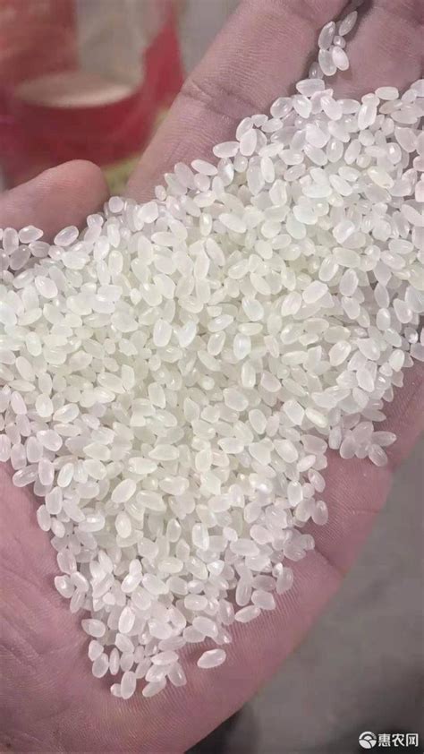 东北珍珠米 大米-淘宝网