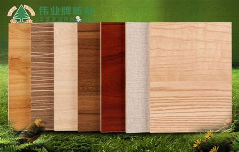 中国生态板十大品牌之北杨南杉-行业动态-伟业牌ENF板材|环保ENF级|生态板十大品牌|板材十大品牌|伟业板材