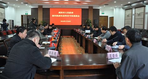 咸阳市政府：打造高效、透明、现代的新型政府