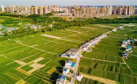 成渝（潼南）中央厨房产业园规划发布，到2025年园区年产值达100亿元__财经头条