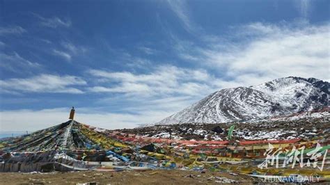 西藏山南：油菜花开美如画-人民图片网