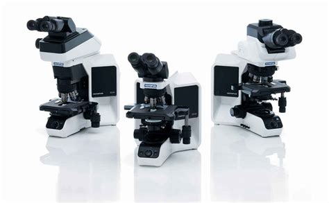 奥林巴斯BX43研究级正置生物显微镜_微视界