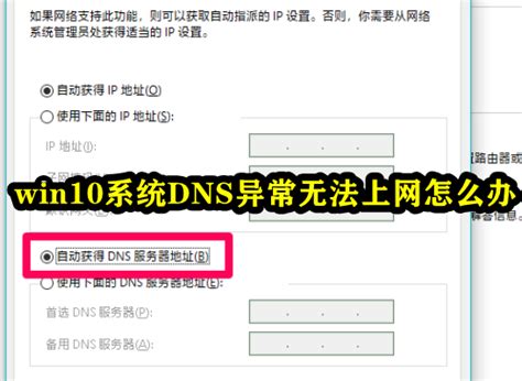 win10系统DNS异常无法上网怎么办-windows10系统出现DNS异常上不了网怎么解决-53系统之家
