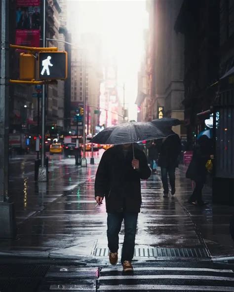 下雨天见到这么一只超大的鱼在扑腾，真怪吓人的-直播吧