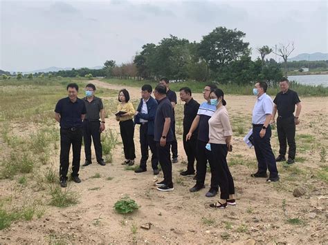 营口中捷越南生产基地项目顺利实施 为越南AGM隔板行业填补空白_手机新浪网