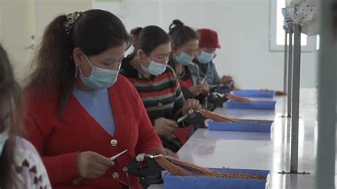 新疆阿克陶县：村里来了电子厂，妇女也能挣钱_关键帧_澎湃新闻-The Paper