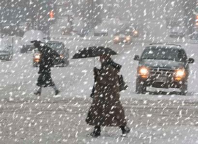 积雪压断树雨水扰交通 组图直击今年以来最大范围强雨雪现场-天气图集-中国天气网