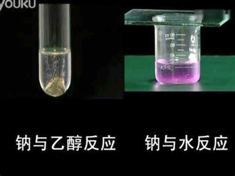 钠分别与乙醇及水反应的视频