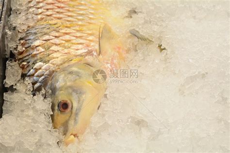 柳州卖海鲜市场在哪，请问请问柳州的海鲜市场在哪？ - 综合百科 - 绿润百科