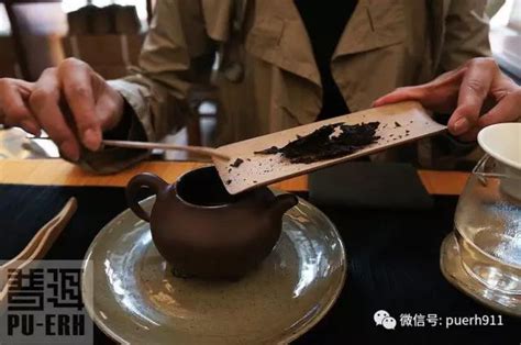 云南普洱茶制作过程- 茶文化网