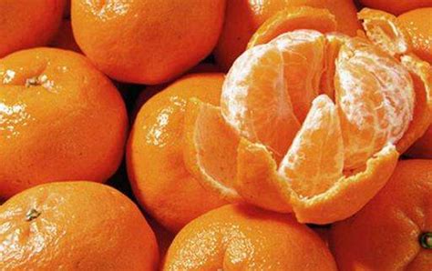 早饭后竟不能吃橘子，常犯这5个禁忌却不自知，你可长点心吧