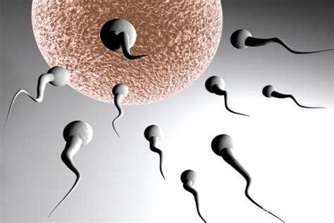 试管婴儿中，老公取精注意什么能让精子质量好？ - 知乎