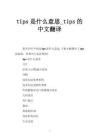 tips是什么意思_tips的中文翻译 - 豆丁网