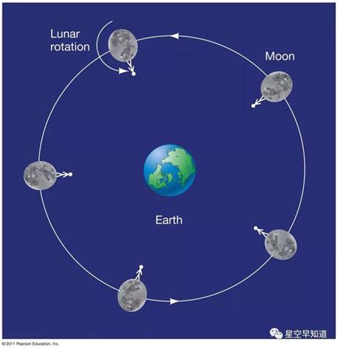 【前沿论坛】惠鹤九：月球的形成和早期演化----中国科学院地质与地球物理研究所