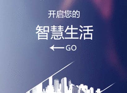 “10多万元就能买到海景房”，广东惠东成为第二个“鹤岗”？_手机新浪网