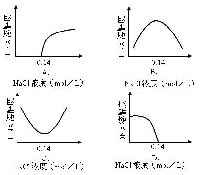 实验四醋酸解离常数及测定(已修改)