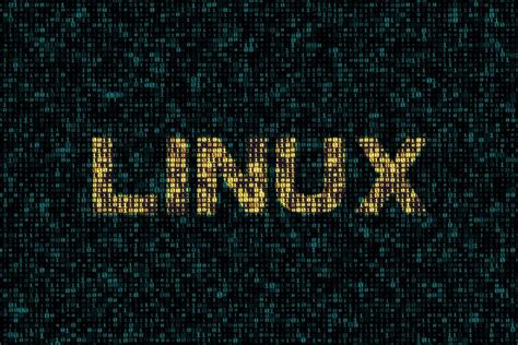 7. Linux文件目录 — [野火]嵌入式Linux基础与应用开发实战指南——基于i.MX6ULL开发板 文档