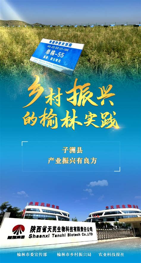 榆林“产业扶贫”攻城拔寨开拓致富路_手机新浪网