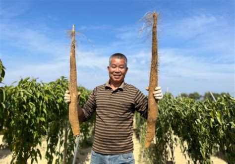 惠阳新圩路边的菜市场、小摊小贩为了多少钱，各自都是吆喝着拉客